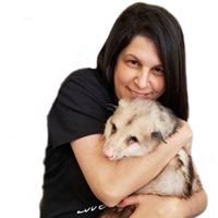 Renee Snyder's profile image