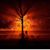 Lucille Duniec's profile image