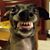 Tracy Lynn Cosby's profile image