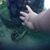 Ann Kelley's profile image