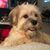 Linda Whitney's profile image