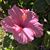 Sharon Sue Oldham Quick's profile image
