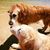 Debbie Anderson Hall's profile image