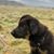 Jennifer Kerr's profile image