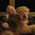 Donnie J. Abercrombie's profile image