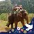 Anna Carpio's profile image