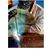 Jake Rosenbaum's profile image