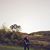 Mathew Dissinger's profile image