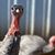 Mike Alswager's profile image