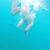 Edward Viljoen's profile image