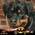 Terri Coleman's profile image