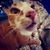 Ena Tricic's profile image