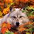 Kathy Powell Eller's profile image