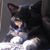 Pam Root Haynes's profile image