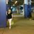 Barbara Arnold's profile image