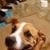 Darla Carey's profile image