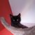 Charity Faith Haraway's profile image
