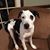 Roxanne Bennett's profile image