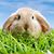 Pattie Zeier's profile image