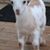 John Linville's profile image