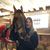 Amy Margis Nelson's profile image