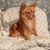 Roy C Moro Sr.'s profile image
