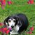 Ella Moran's profile image