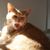 Mary Blankenship's profile image
