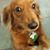 Jennifer Richardson's profile image