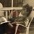 Shelly Wunderlich's profile image