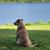 Angie Emery Prandini's profile image