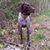 Andy Kott's profile image
