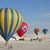 Nancy Lubke's profile image