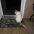 Barbara Touchton's profile image
