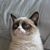 Gino Charles's profile image