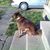 Karla Kerkman Miles's profile image