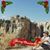 Manho Jang's profile image