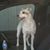 Vickie-Jesse Trbula's profile image