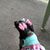 Shirleen Odiase's profile image