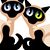 Ann Wilson Long's profile image