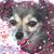 Fay Baxter's profile image