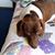 Debbie Mabon's profile image