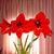 Sheila Kelson Itterly's profile image