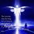 Amy Vidler's profile image