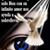 Nohemi Rosales's profile image
