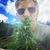 Ellis Scott's profile image