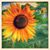 Mar Yetta's profile image