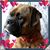 Susan Wooden's profile image