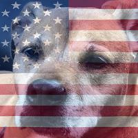 Sharon Lemke's profile image