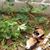 John Cooner's profile image